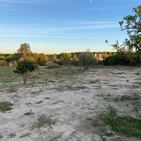 Monte Das Figueiras de Lavre Cozy Farm House In The Countryside 빌라 외부 사진